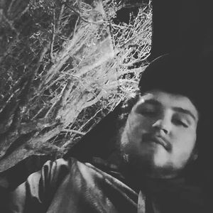 Meet your Posher, Troy